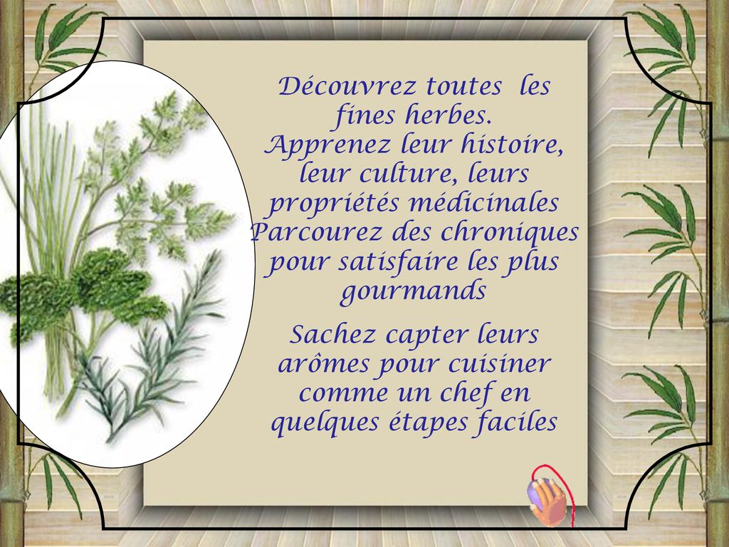 Découvrez Toutes Les Fines Herbes - Ppt Télécharger