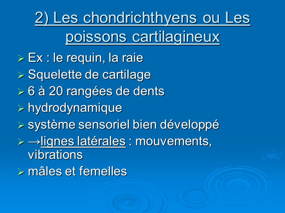 2) Les chondrichthyens ou Les poissons cartilagineux