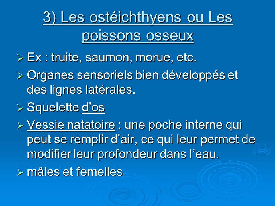 3) Les ostéichthyens ou Les poissons osseux