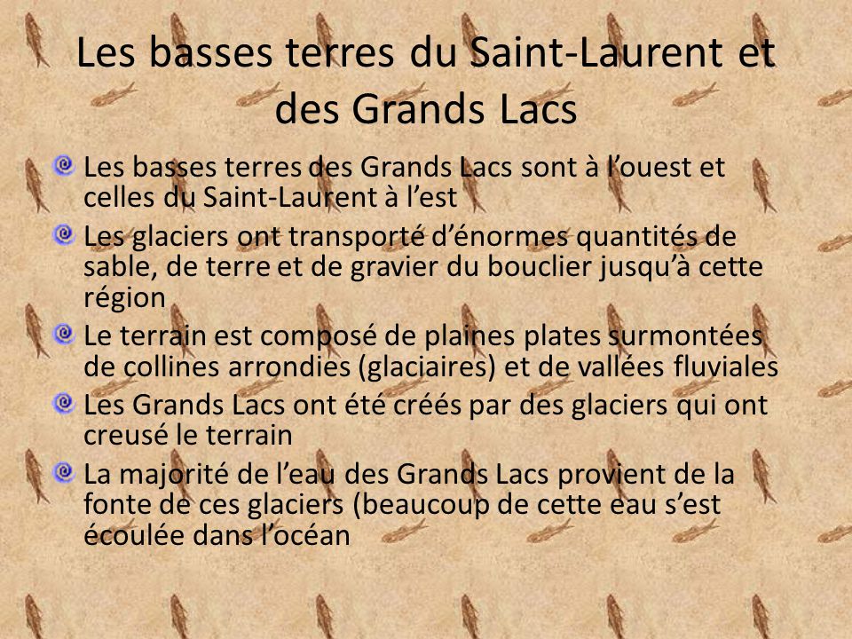 Les basses terres du Saint-Laurent et des Grands Lacs