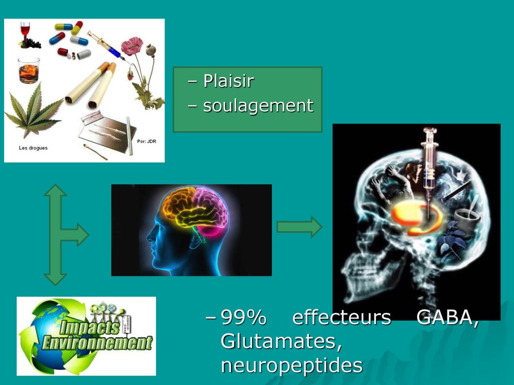 99% effecteurs GABA, Glutamates, neuropeptides