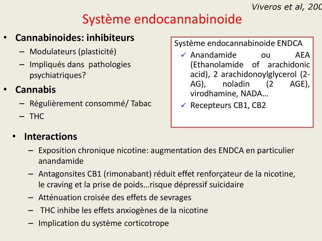Système endocannabinoide