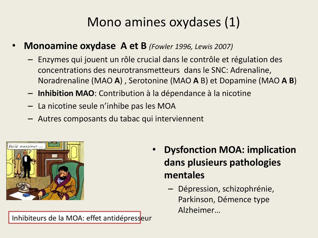 Mono amines oxydases (1)
