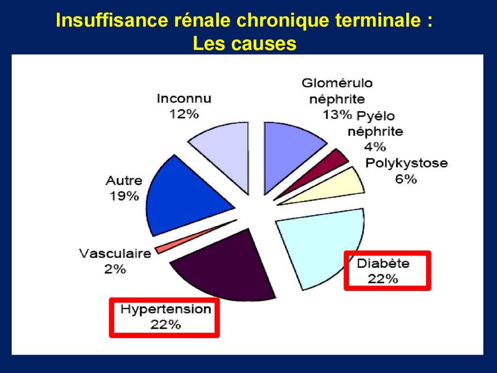 MALADIE RENALE CHRONIQUE INSUFFISANCE RENALE CHRONIQUE - Ppt Télécharger