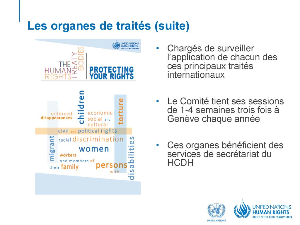 Aperçu Du Système International Des Droits De Lhomme Ppt Télécharger 2088