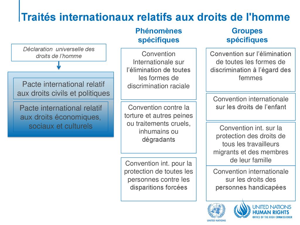 Aperçu Du Système International Des Droits De Lhomme Ppt Télécharger 7089