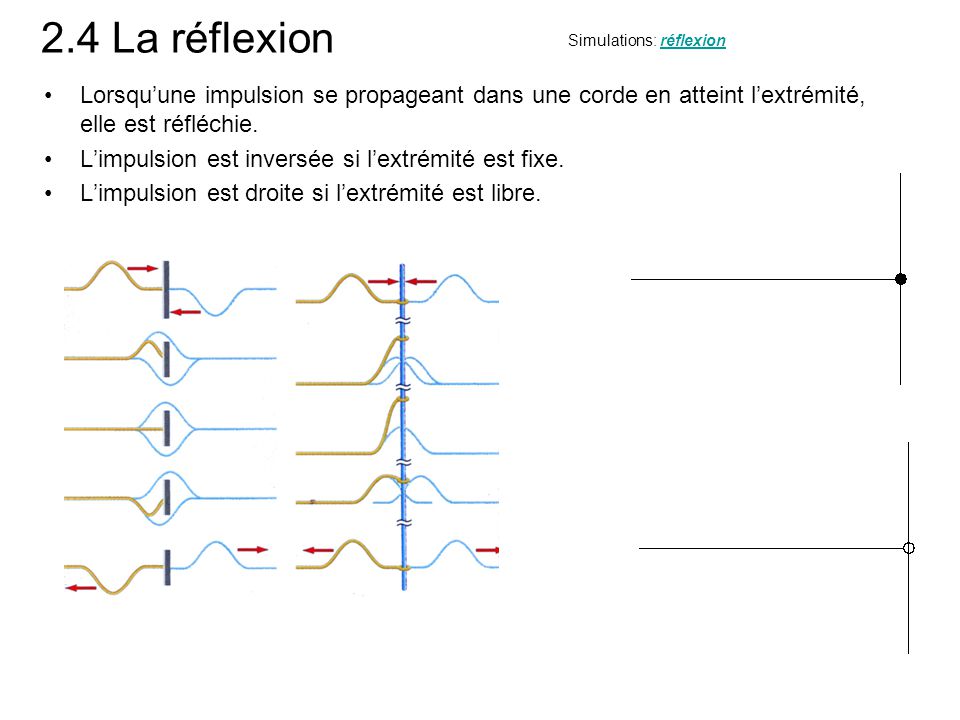 2.4 La réflexion Simulations: réflexion. Lorsqu’une impulsion se propageant dans une corde en atteint l’extrémité, elle est réfléchie.
