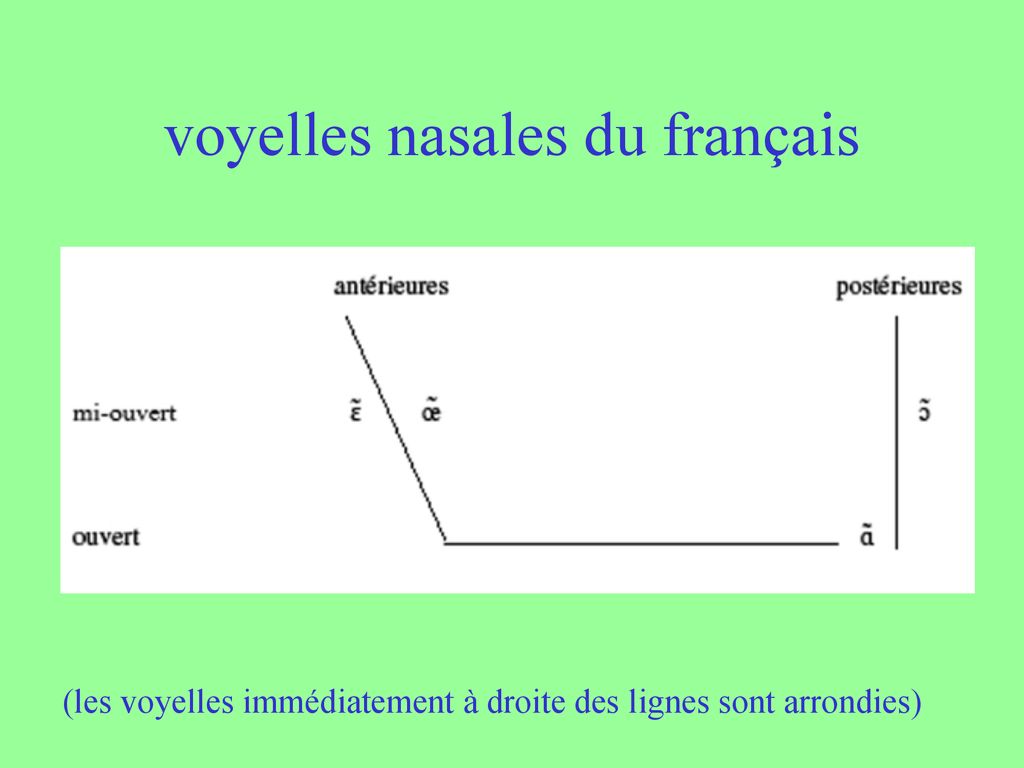 PHONÉTIQUE ARTICULATOIRE - Ppt Télécharger