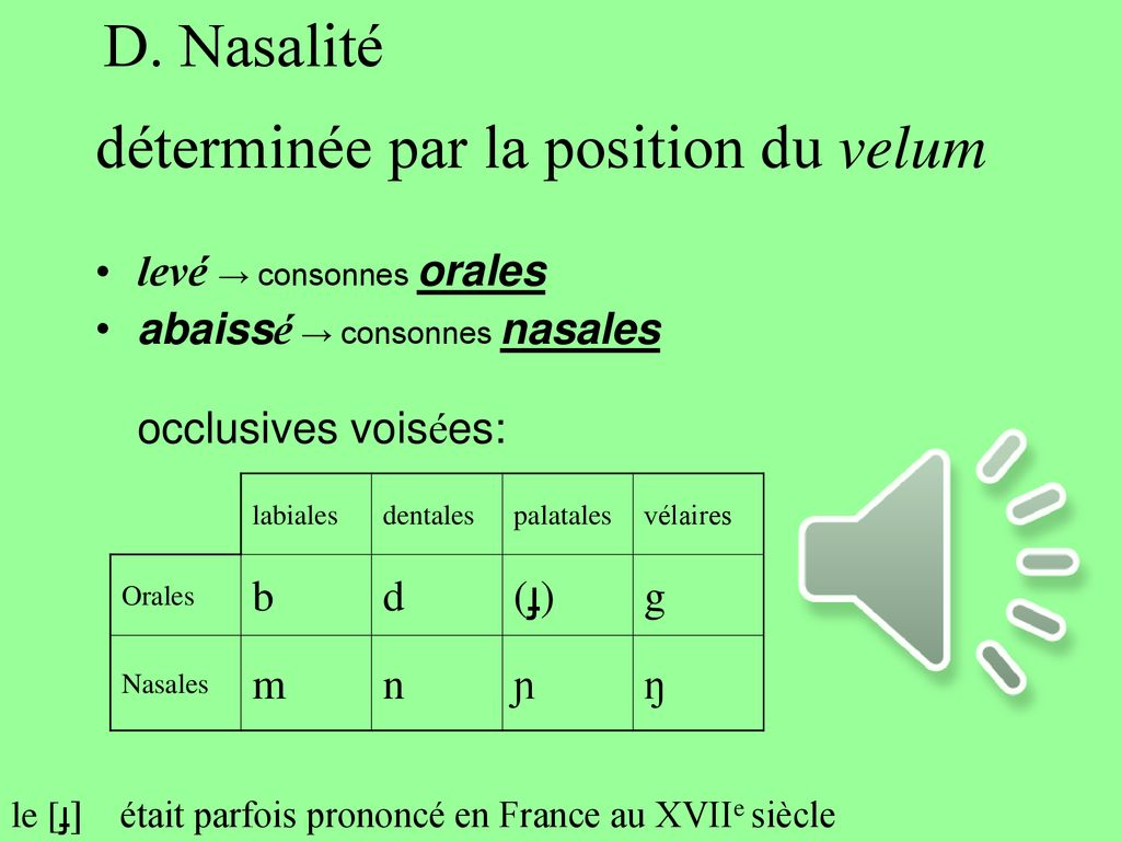 PHONÉTIQUE ARTICULATOIRE - Ppt Télécharger