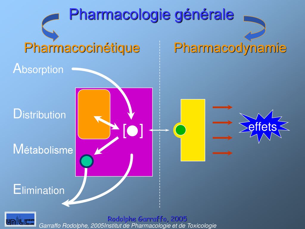 Cours De Pharmacologie - Ppt Télécharger