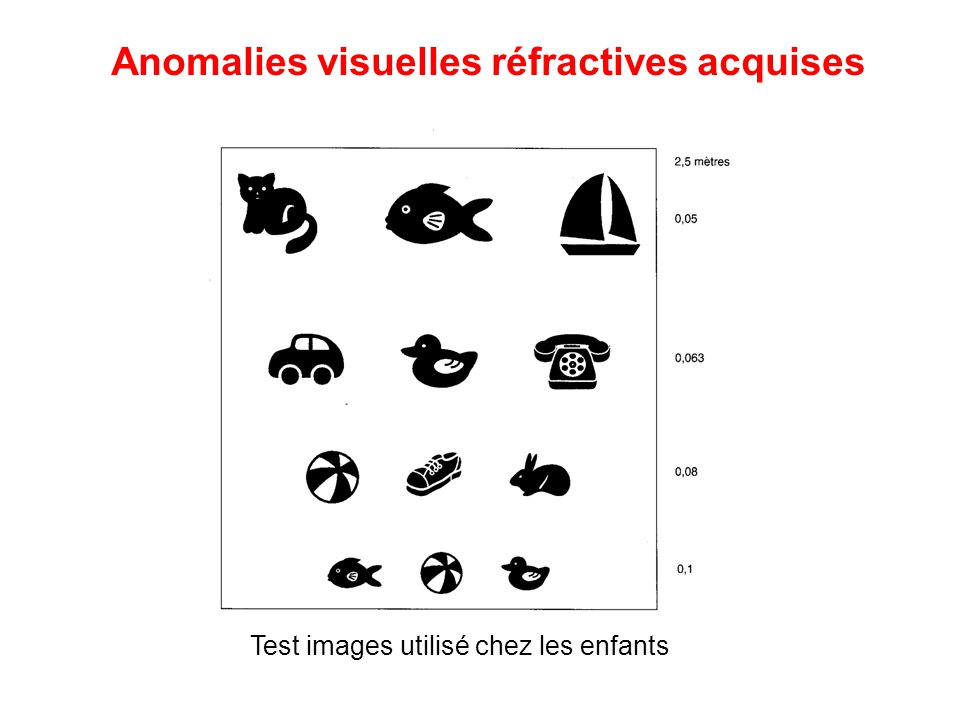 Physiologie Du Developpement Visuel Ppt Telecharger