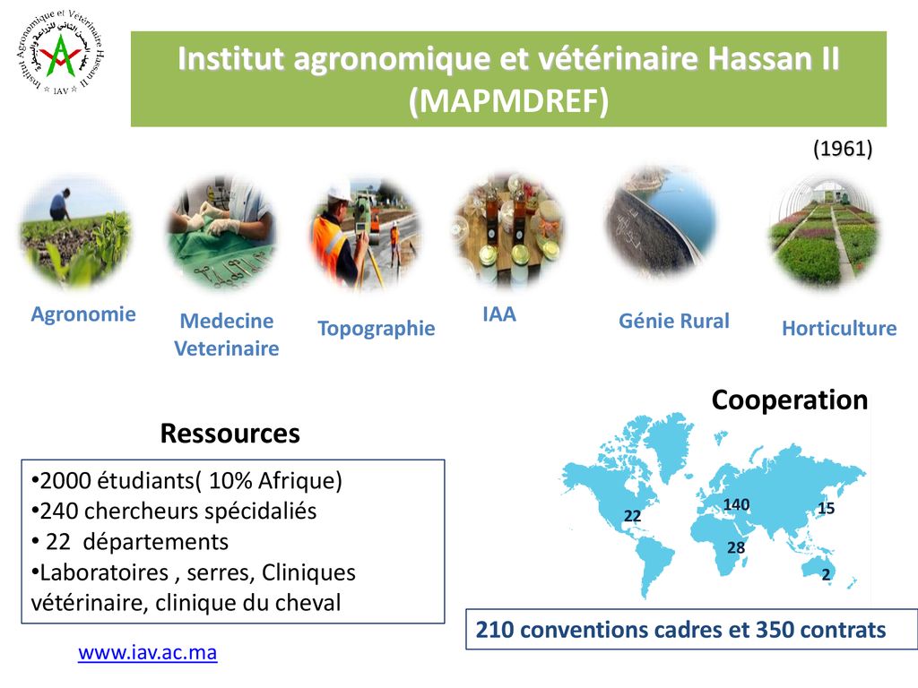 Institut Agronomique Et Vétérinaire Hassan II (IAV) - Ppt Télécharger