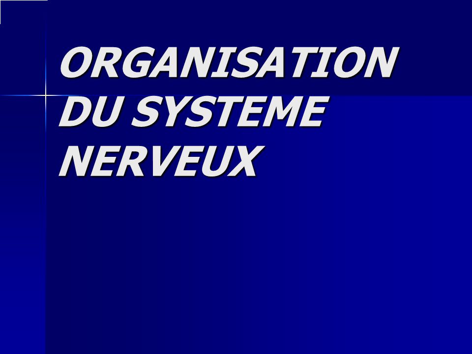 ORGANISATION DU SYSTEME NERVEUX