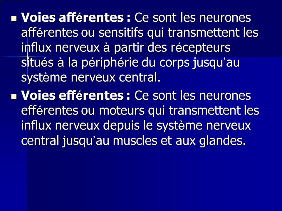 Voies afférentes : Ce sont les neurones afférentes ou sensitifs qui transmettent les influx nerveux à partir des récepteurs situés à la périphérie du corps jusqu’au système nerveux central.