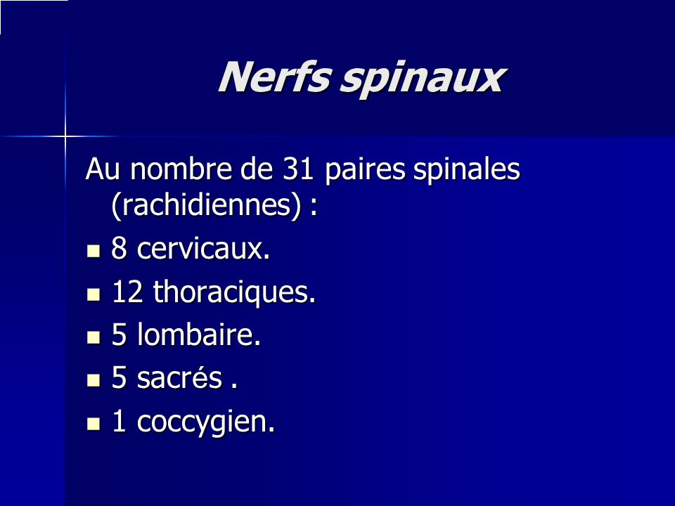 Nerfs spinaux Au nombre de 31 paires spinales (rachidiennes) :
