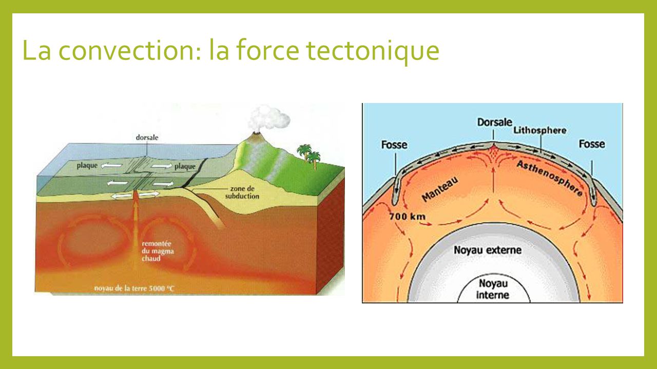 La convection: la force tectonique