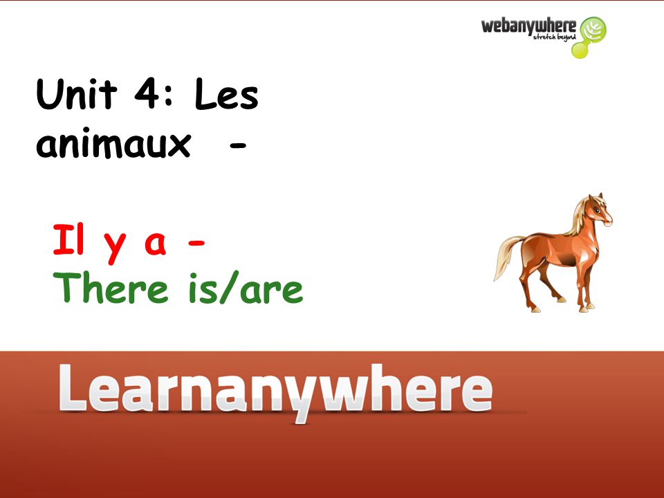 Unit 4: Les animaux - Il y a - There is/are Unit 4: Les animaux