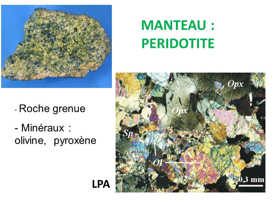 MANTEAU : PERIDOTITE Roche grenue Minéraux : olivine, pyroxène LPA