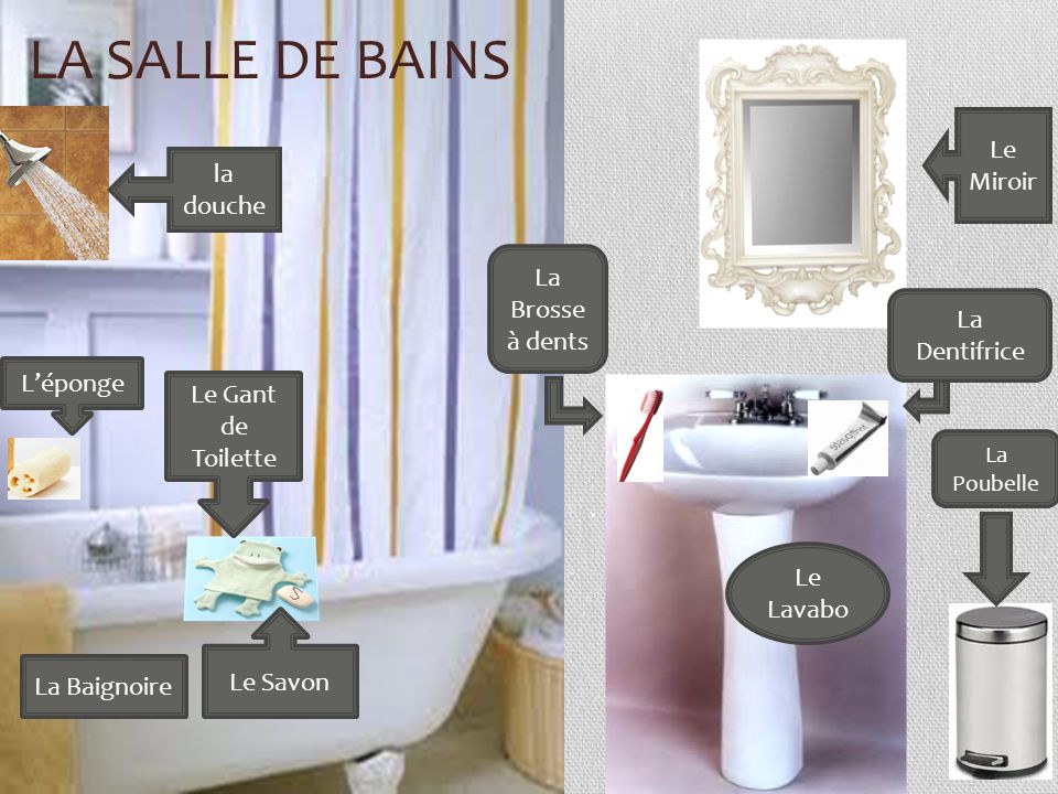 La salle de bains Le Miroir la douche La Brosse à dents La Dentifrice