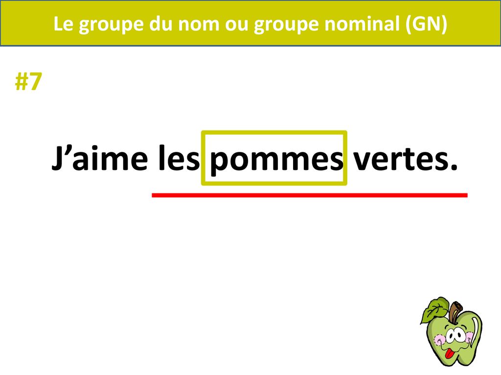 Le groupe du nom ou groupe nominal (GN) J’aime les pommes vertes.