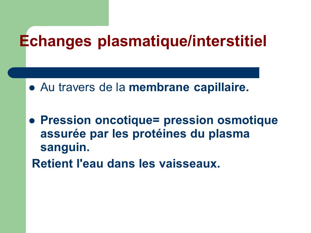 Echanges plasmatique/interstitiel