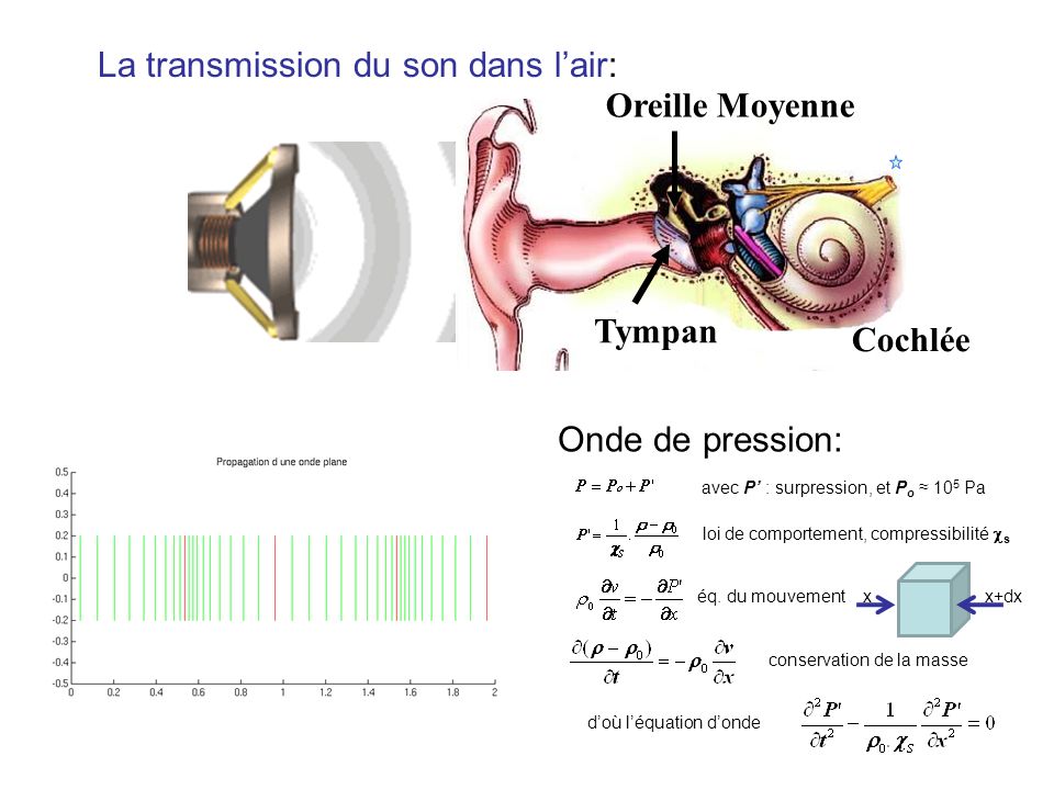 Tissu acoustique : une matière perméable aux ondes sonores.