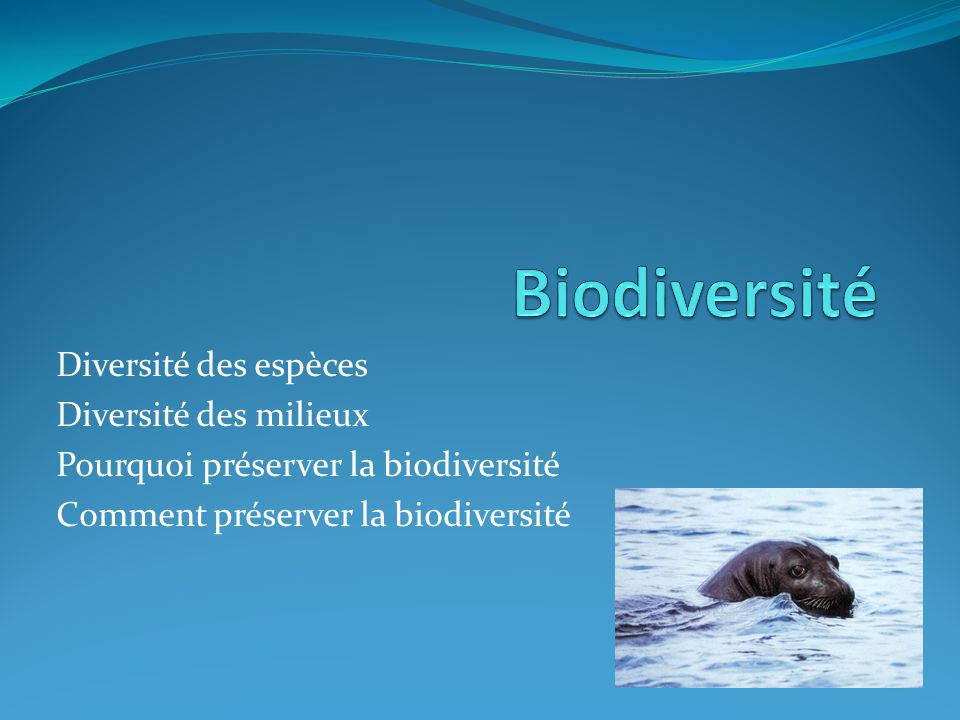 Biodiversité Diversité des espèces Diversité des milieux