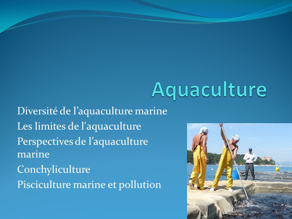 Aquaculture Diversité de l’aquaculture marine