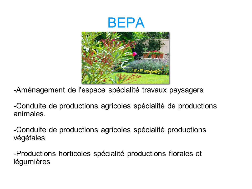 BEPA -Aménagement de l espace spécialité travaux paysagers
