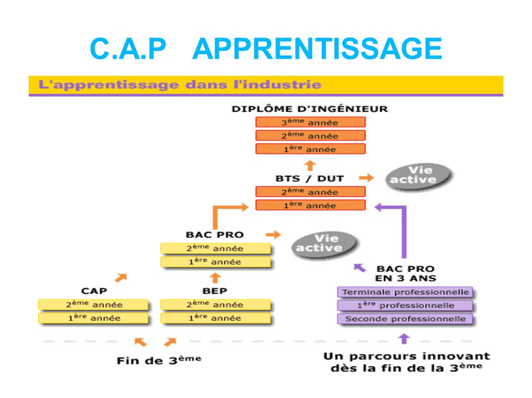 C.A.P APPRENTISSAGE