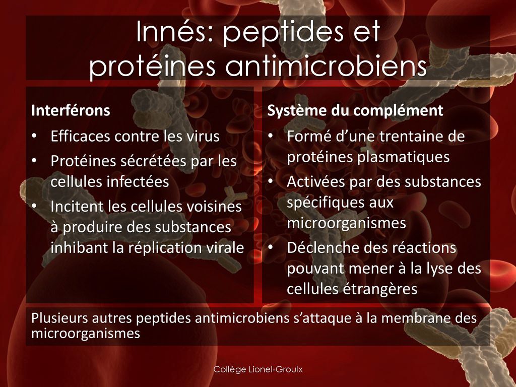 Innés: peptides et protéines antimicrobiens