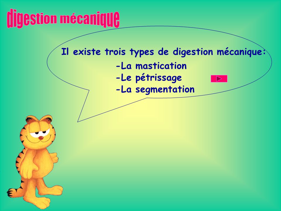 digestion mécanique Il existe trois types de digestion mécanique:
