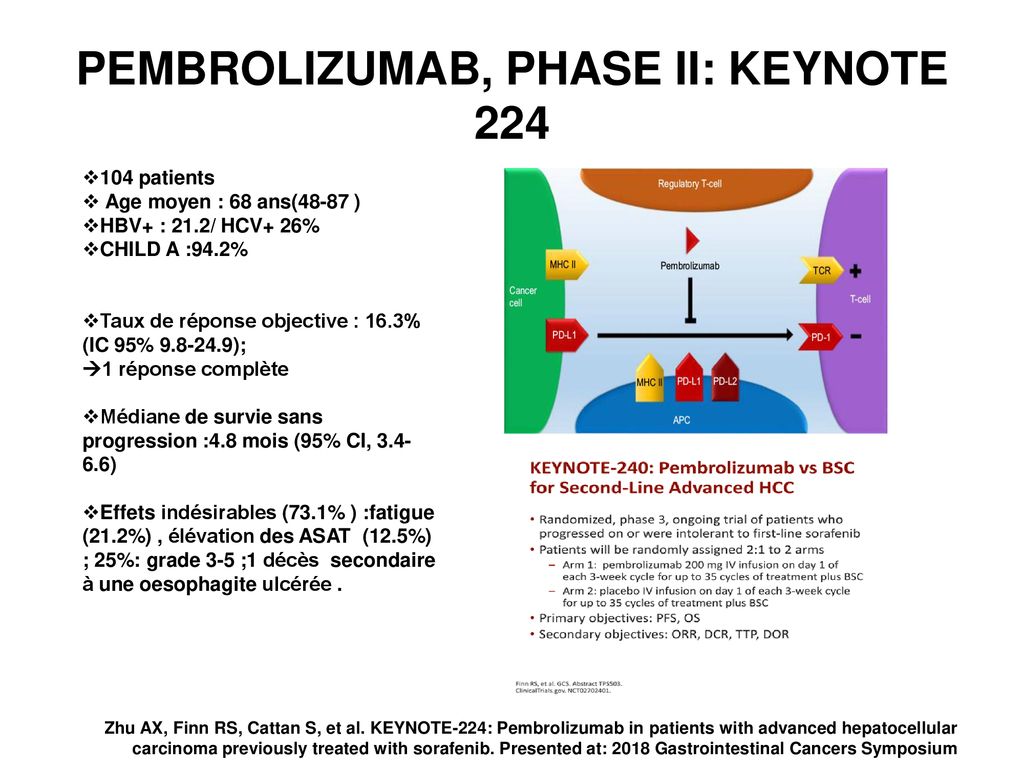 Place de l’immunothérapie dans le CHC avancé ppt télécharger