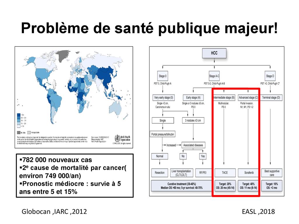 Place de l’immunothérapie dans le CHC avancé - ppt télécharger