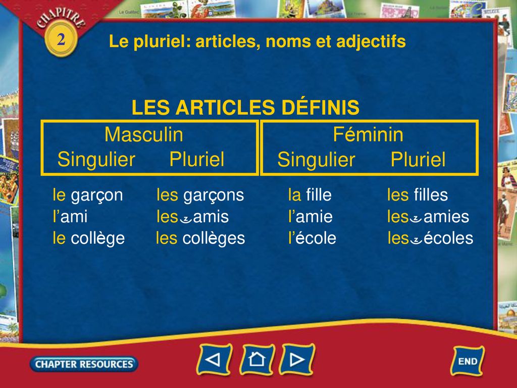 Le Pluriel Des Articles Noms Et Adjectifs Ppt Télécharger