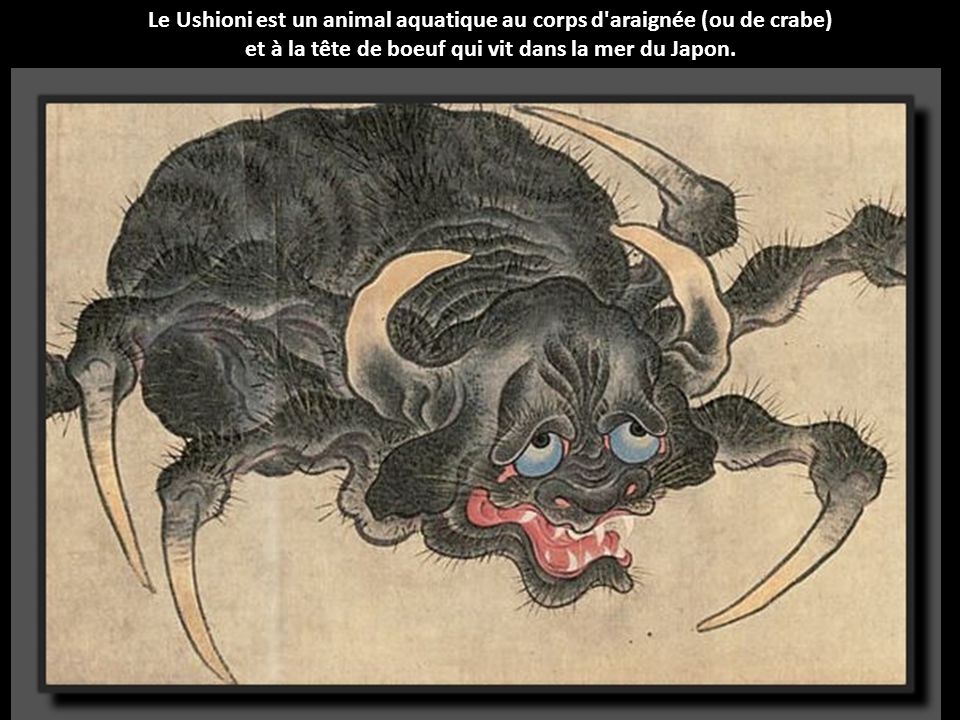 Le Ushioni est un animal aquatique au corps d araignée (ou de crabe)