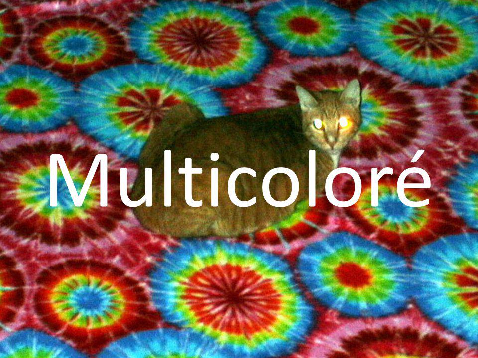 Multicoloré