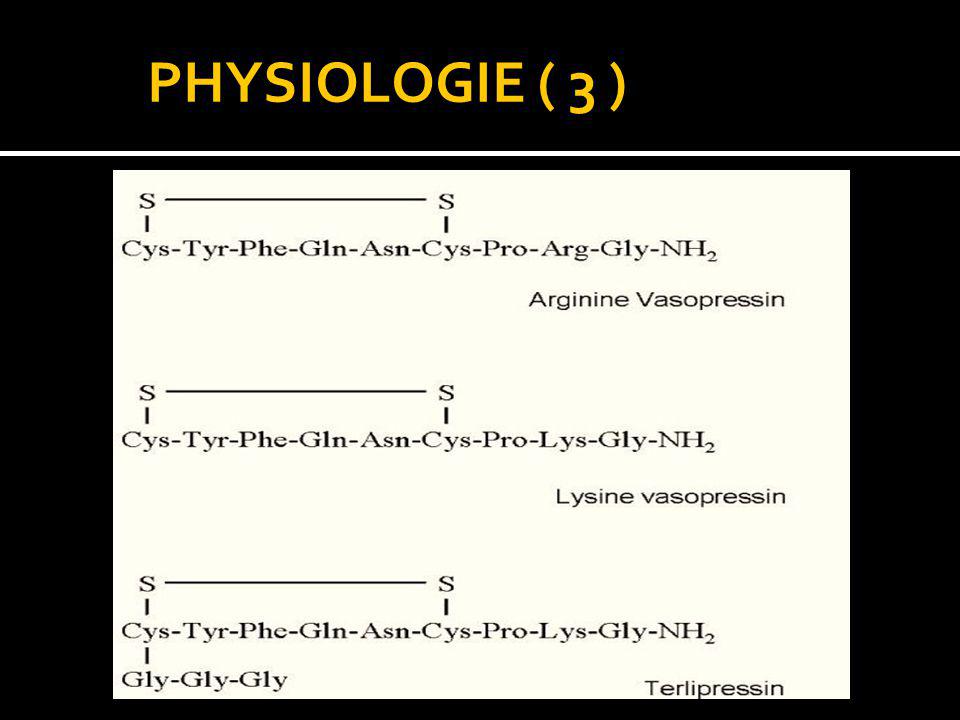 PHYSIOLOGIE ( 3 )