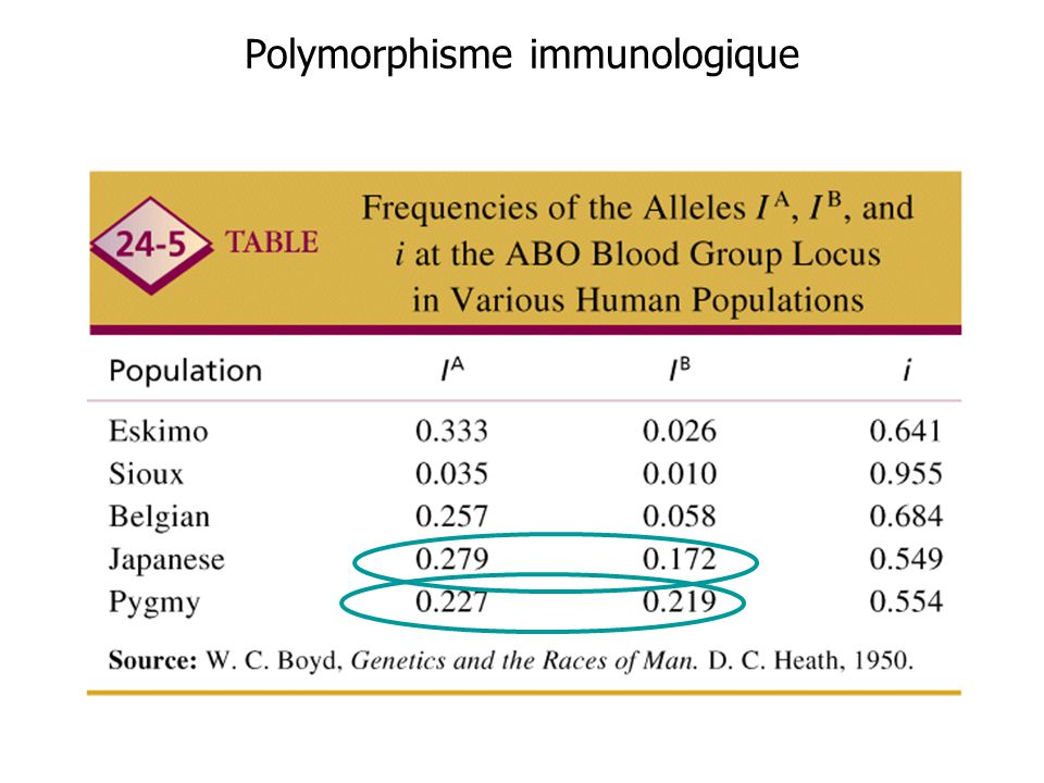 Polymorphisme immunologique