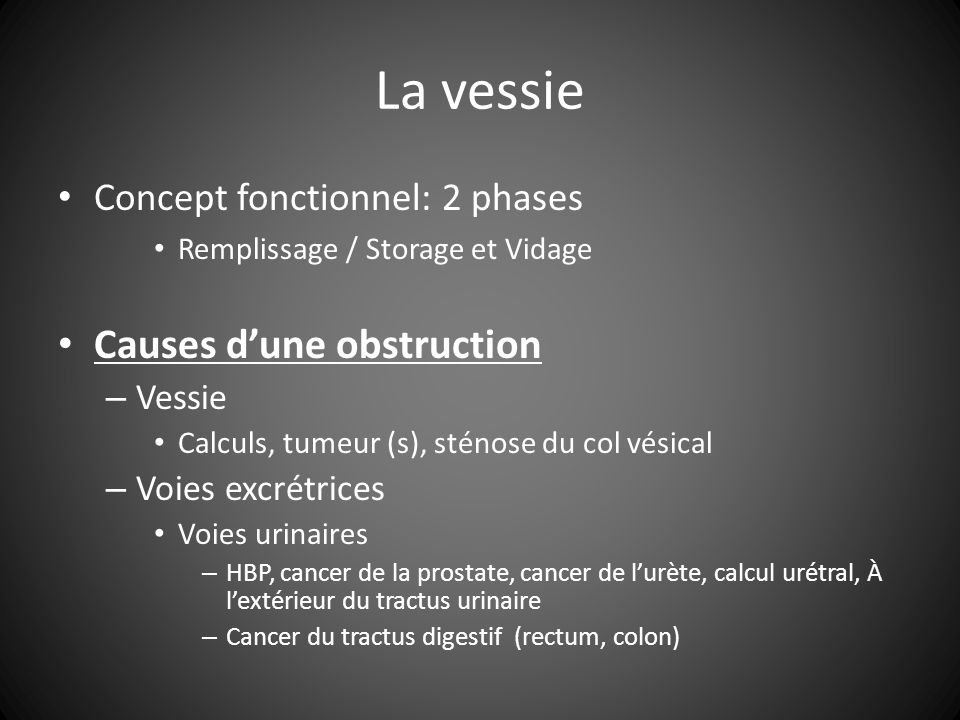 La vessie Causes d’une obstruction Concept fonctionnel: 2 phases