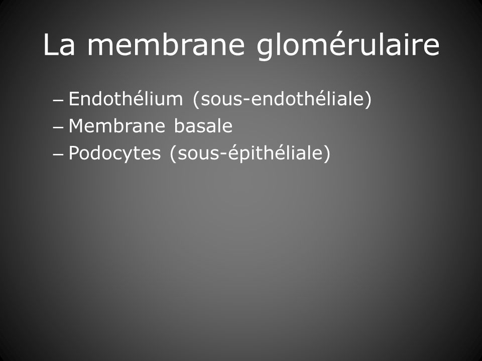 La membrane glomérulaire