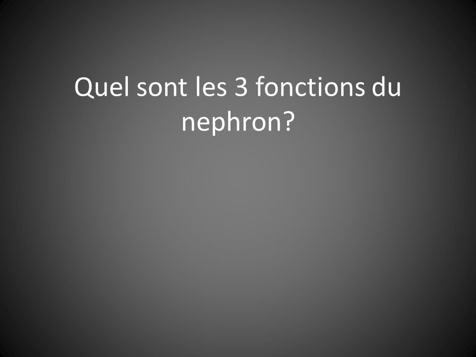 Quel sont les 3 fonctions du nephron