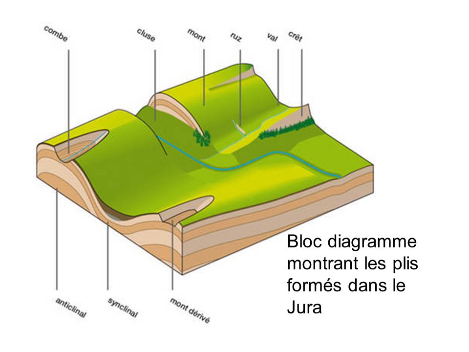 Bloc diagramme montrant les plis formés dans le Jura