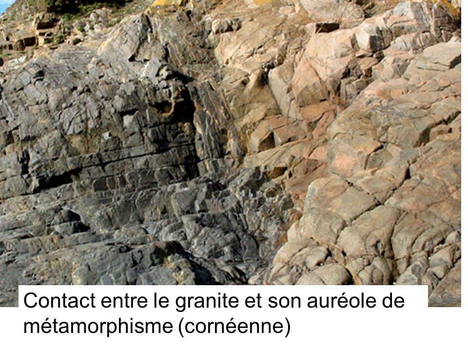 Contact entre le granite et son auréole de métamorphisme (cornéenne)