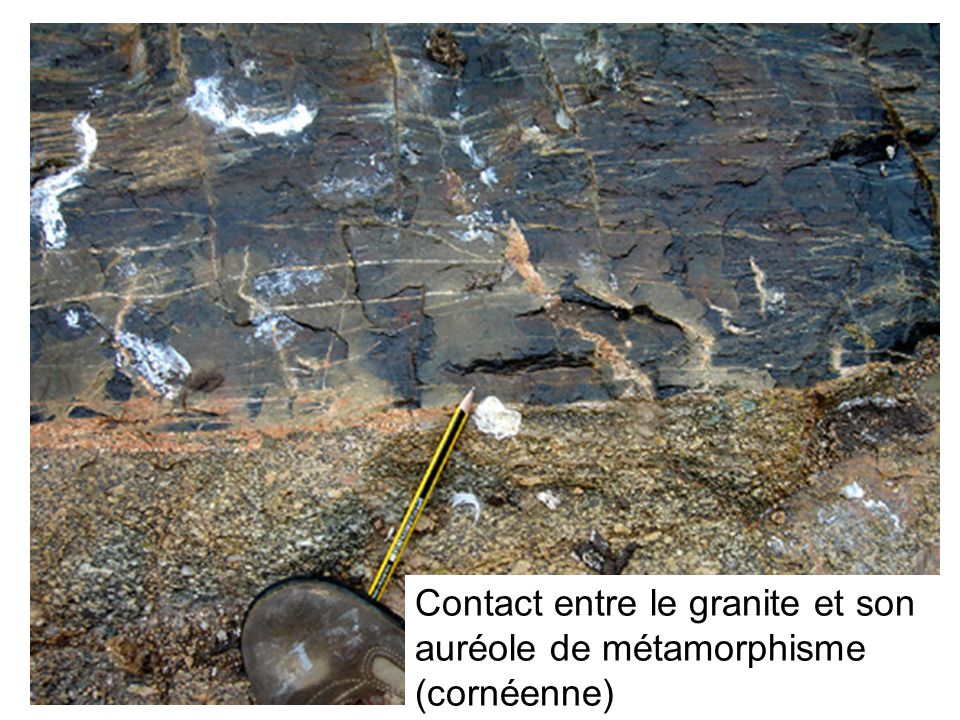 Contact entre le granite et son auréole de métamorphisme (cornéenne)