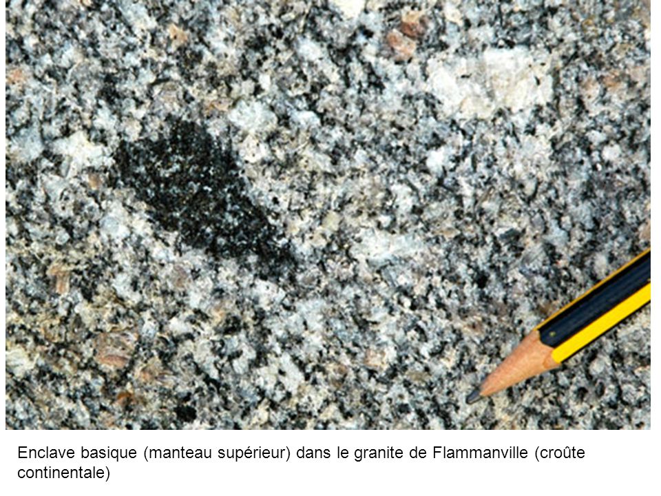 Enclave basique (manteau supérieur) dans le granite de Flammanville (croûte continentale)