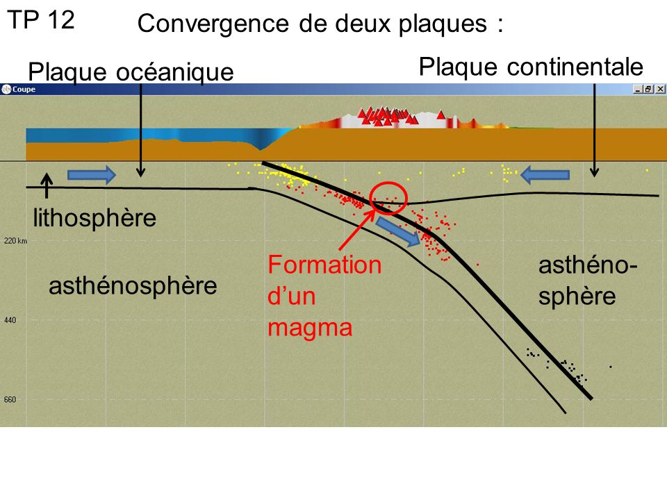 TP 12 Convergence de deux plaques : Plaque continentale. Plaque océanique. lithosphère. Formation d’un magma.