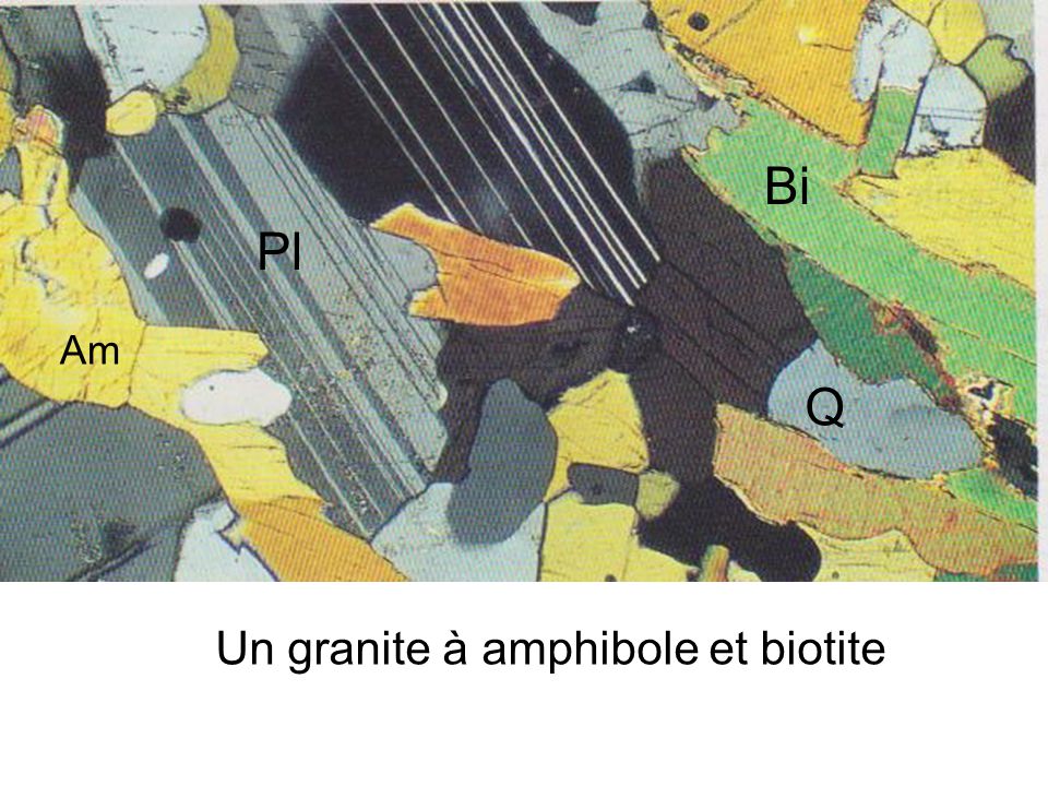 Bi Pl Am Q Un granite à amphibole et biotite
