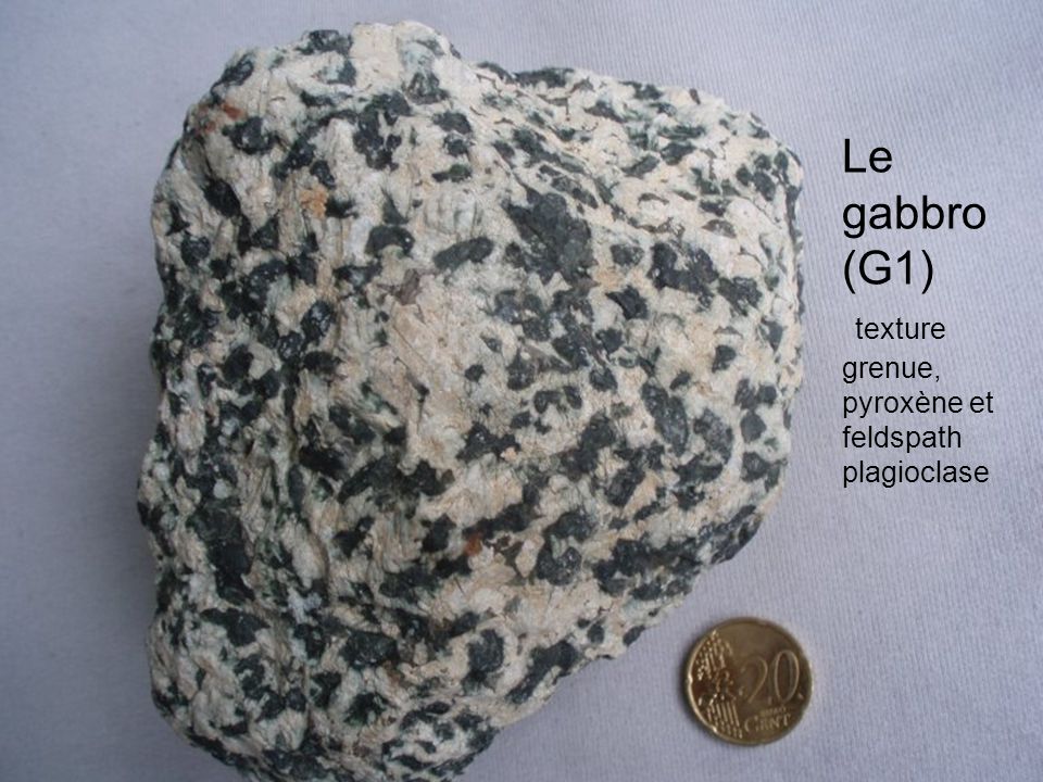 Le gabbro (G1) texture grenue, pyroxène et feldspath plagioclase