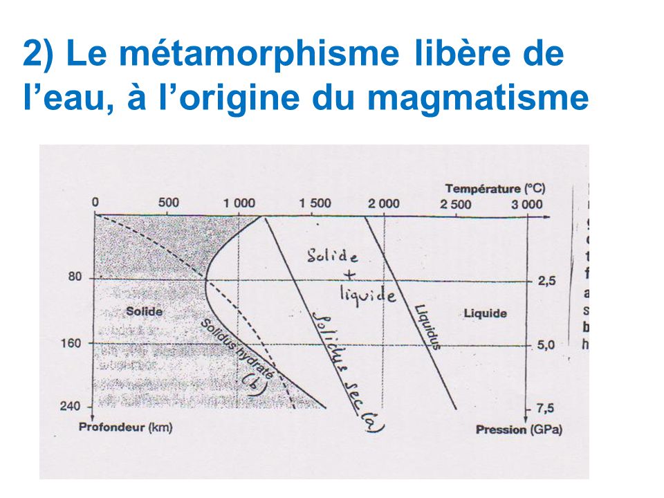 2) Le métamorphisme libère de l’eau, à l’origine du magmatisme